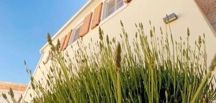 شقة Studio Apartman Dado بالي المظهر الخارجي الصورة